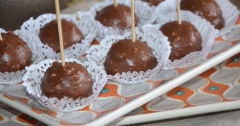 demi sphère chocolat praliné demi sphere chocolat praline glaça ge rocher