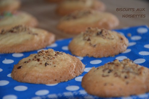 biscuits noisettes faciles