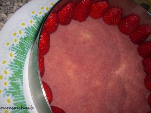 fraisier 2