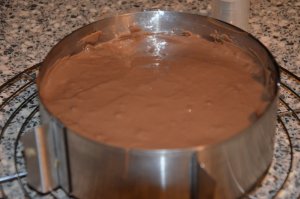 entremet-chocolat-noisette-1